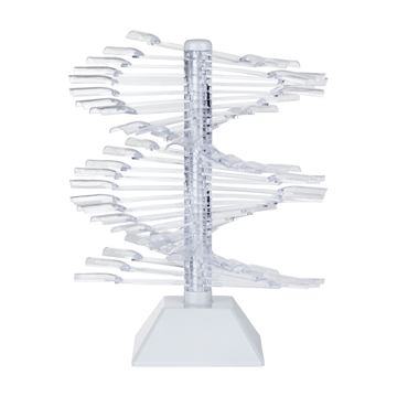 60 STK LODRET NEGLE PRØVER PÅ STATIV